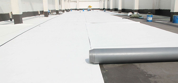 Thermoplastic Polyolefin Roofing El Segundo